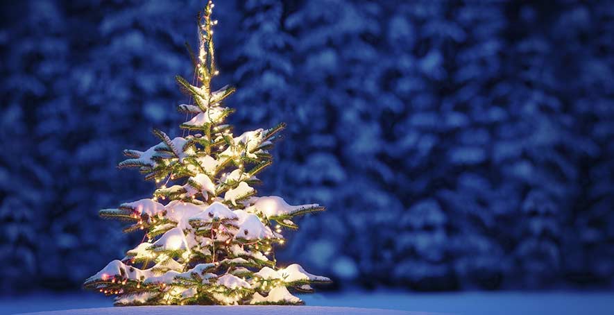 Christmas Shipping 2018