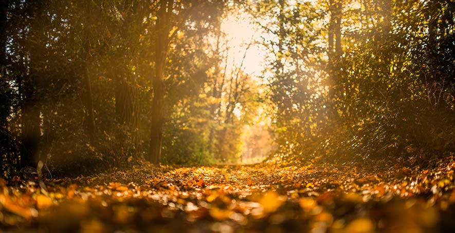 AW '17 men's fashion trends