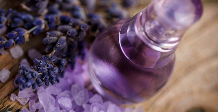 Perfume: Somerset House