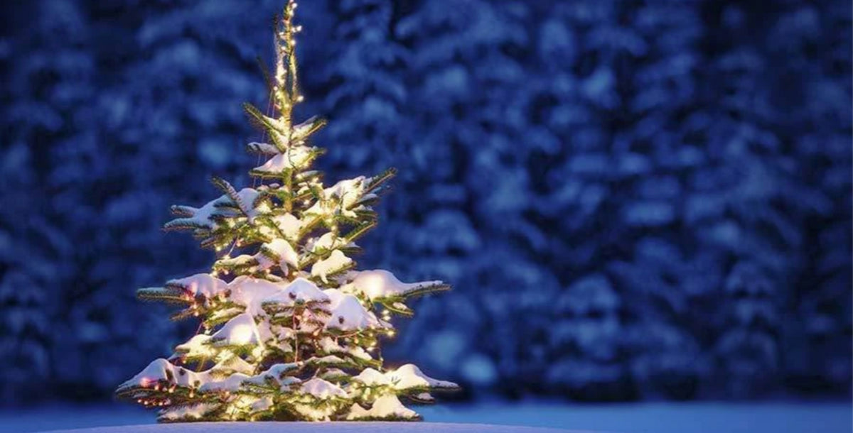 Christmas Shipping 2020