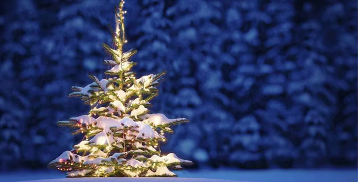 Christmas Shipping 2020